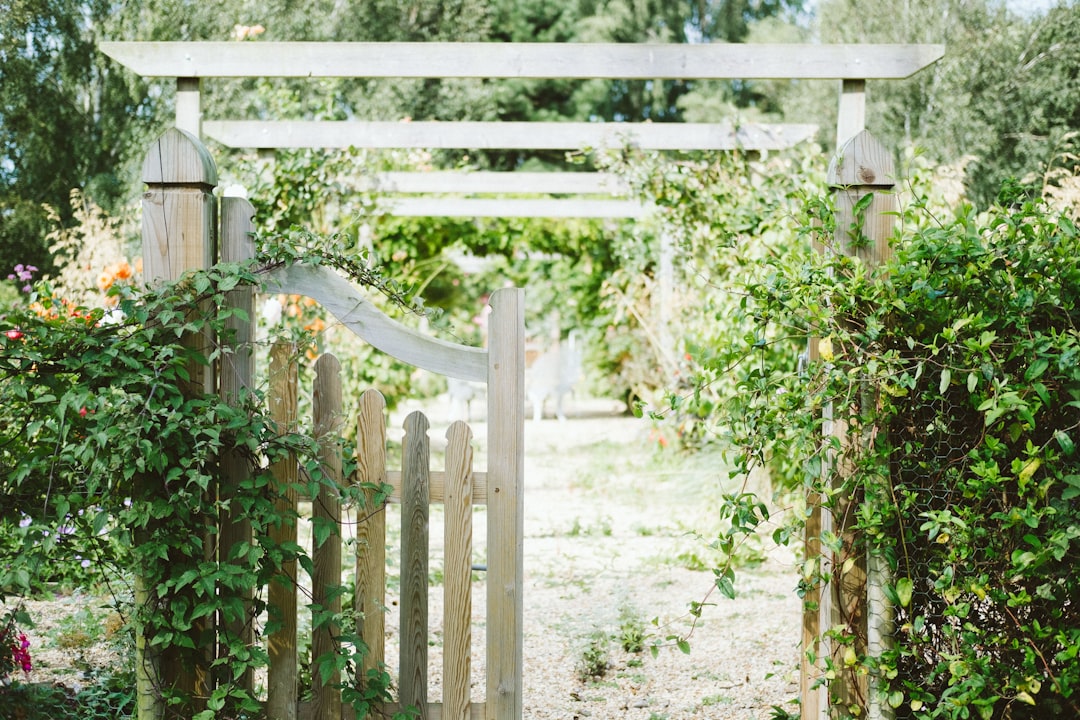 découvrez l'art de créer un jardin luxuriant et apaisant avec nos conseils, astuces de jardinage et inspirations. transformez votre espace extérieur en un véritable havre de paix où la nature s'exprime pleinement.