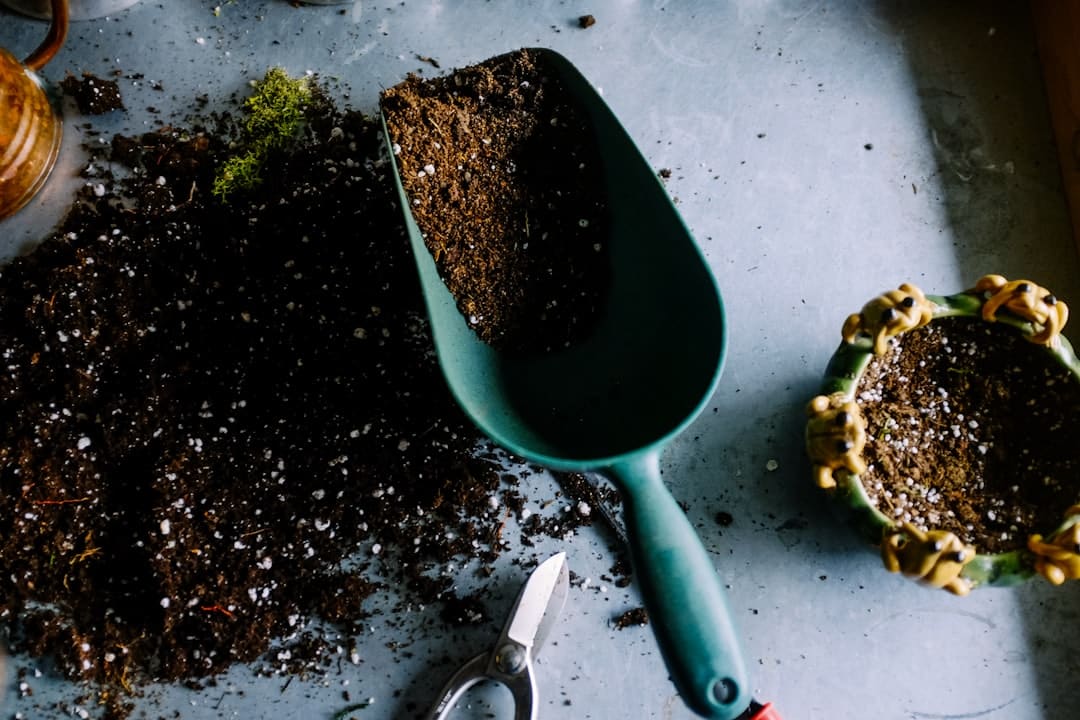 découvrez l'univers enchanteur des jardins, où la nature s'épanouit en harmonie. inspirez-vous avec des conseils de jardinage, des idées de décoration extérieure et des plantes à cultiver pour transformer votre espace en un véritable havre de paix.