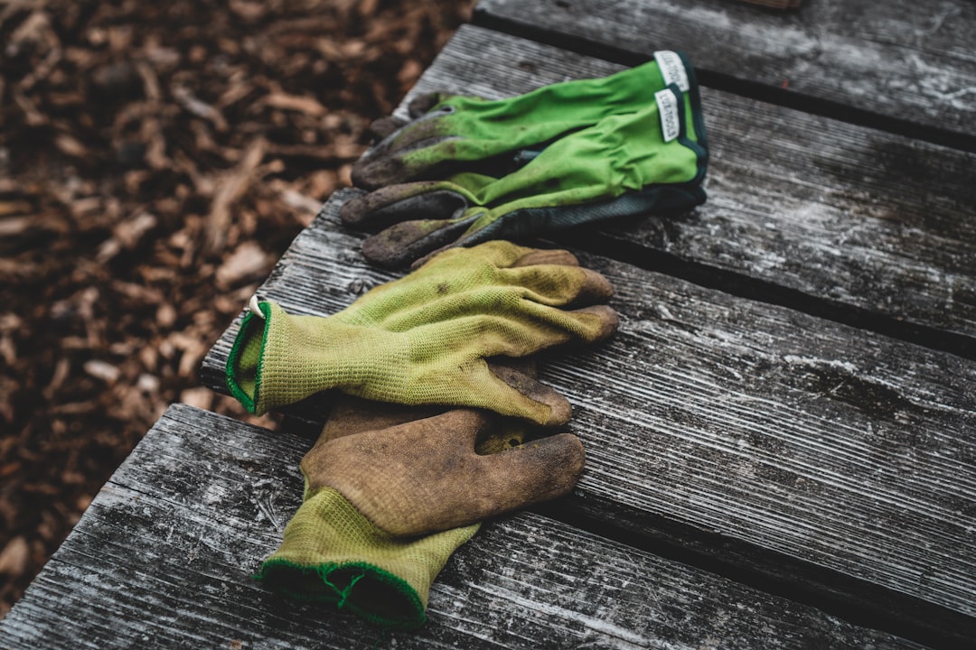 découvrez notre sélection d'outils de jardinage essentiels pour entretenir votre jardin avec facilité. profitez de conseils pratiques et d'ustensiles de qualité pour cultiver vos plantes avec succès.