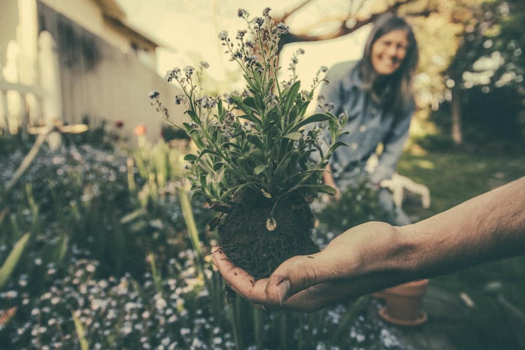 découvrez notre sélection d'outils de jardinage abordables, conçus pour tous les budgets. améliorez votre jardin sans vous ruiner grâce à des outils de qualité qui faciliteront vos tâches de jardinage.