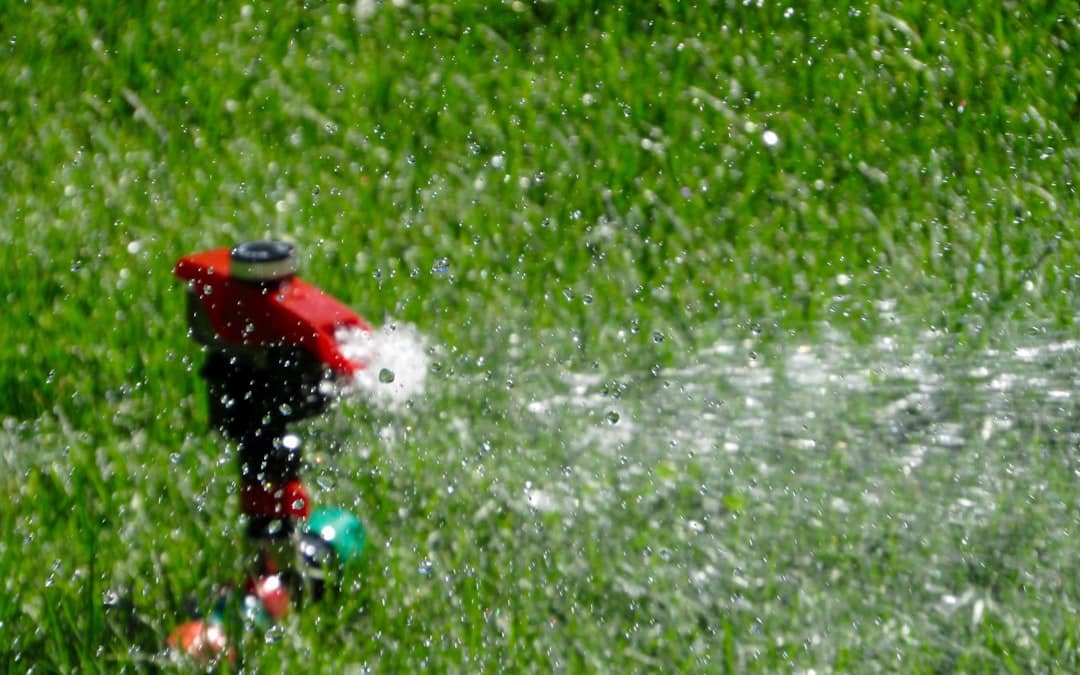 découvrez notre système d'arrosage automatique, conçu pour faciliter l'entretien de votre jardin. économisez de l'eau tout en garantissant une irrigation optimale de vos plantes, même lorsque vous êtes absent. profitez d'un jardin toujours verdoyant grâce à la technologie innovante de nos solutions d'arrosage.