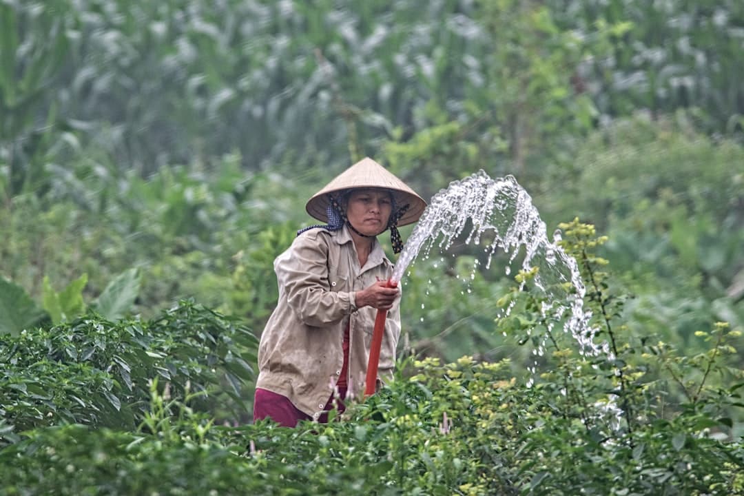 optimisez l'irrigation de vos espaces verts avec notre système d'arrosage automatique. idéal pour les jardins et terrasses, il garantit que vos plantes reçoivent la bonne quantité d'eau, même lorsque vous êtes absent.