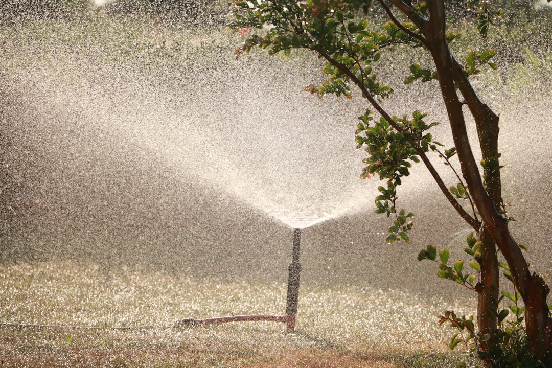 découvrez notre système d'arrosage automatique, conçu pour simplifier l'entretien de vos plantes. profitez d'un jardin luxuriant grâce à une irrigation efficace et programmable, adaptée à vos besoins et à ceux de votre espace extérieur.