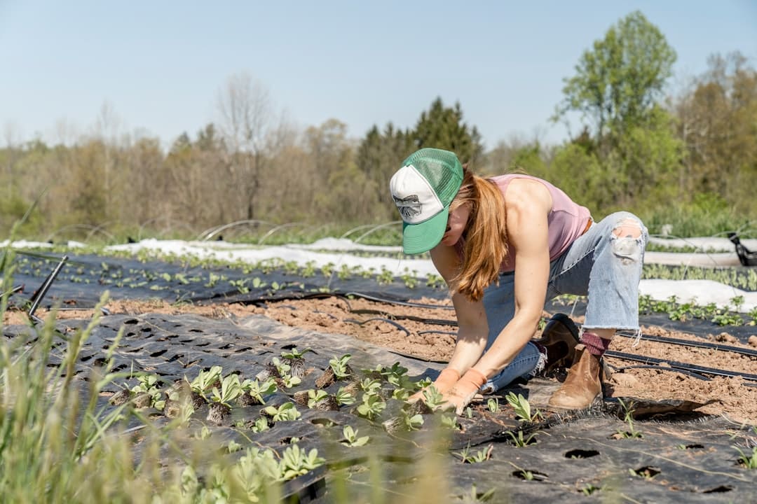 découvrez comment jardiner à petit prix avec nos astuces et conseils pour un jardin épanouissant sans se ruiner. apprenez à choisir des plantes économiques, à utiliser des matériaux recyclés et à maximiser votre espace, le tout en respectant votre budget.