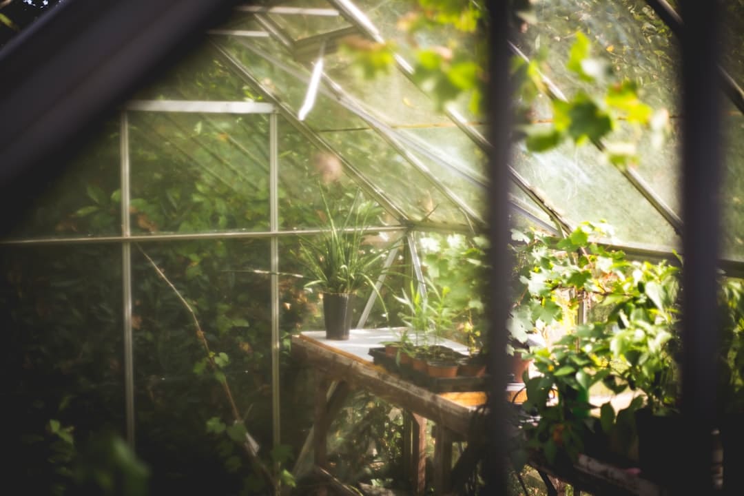 découvrez l'univers enchanteur des jardins : des idées d'aménagement, des conseils de jardinage et des inspirations pour créer un espace extérieur magnifique qui reflète votre style et apaise votre esprit.