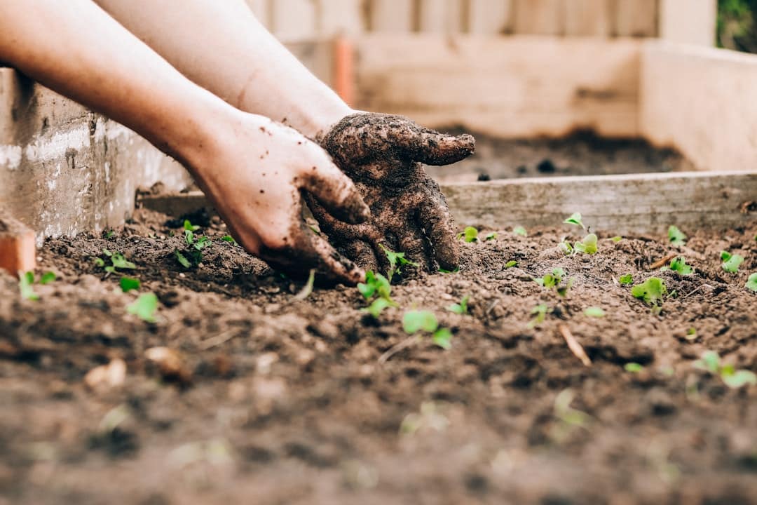 découvrez notre système de brumisation pour jardin, idéal pour rafraîchir votre espace extérieur tout en arrosant vos plantes. profitez d'un environnement agréable lors des journées chaudes et embellissez votre jardin avec une brume légère.