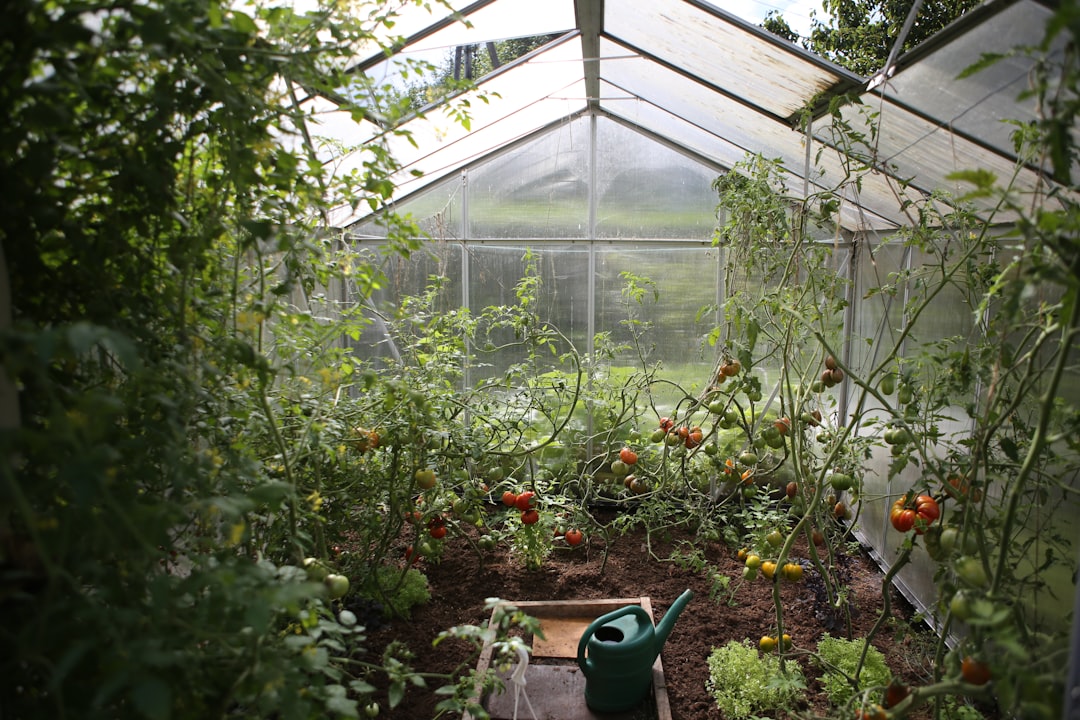 découvrez notre système de brumisation pour jardin, idéal pour rafraîchir vos espaces extérieurs tout en améliorant l'humidité du sol. profitez d'un climat agréable et d'une végétation luxuriante grâce à notre technologie innovante et facile à installer.