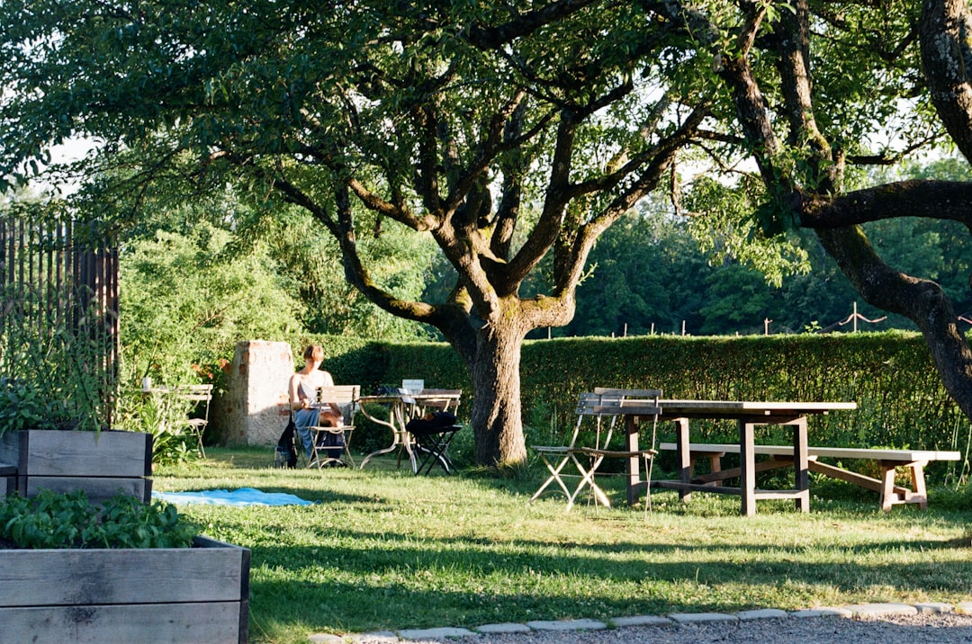 découvrez notre collection de tables de jardin élégantes et fonctionnelles, idéales pour embellir vos espaces extérieurs. conçues pour résister aux intempéries et offrir un confort optimal, nos tables s'adaptent à tous les styles et vous invitent à profiter de moments conviviaux en plein air.