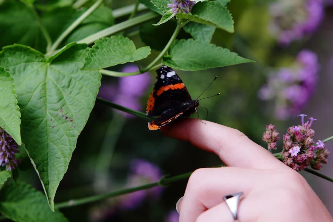 découvrez comment transformer votre jardin en un espace de rêve! des conseils, astuces et inspirations pour créer un jardin qui allie beauté et fonctionnalité, adapté à vos besoins et votre style de vie.