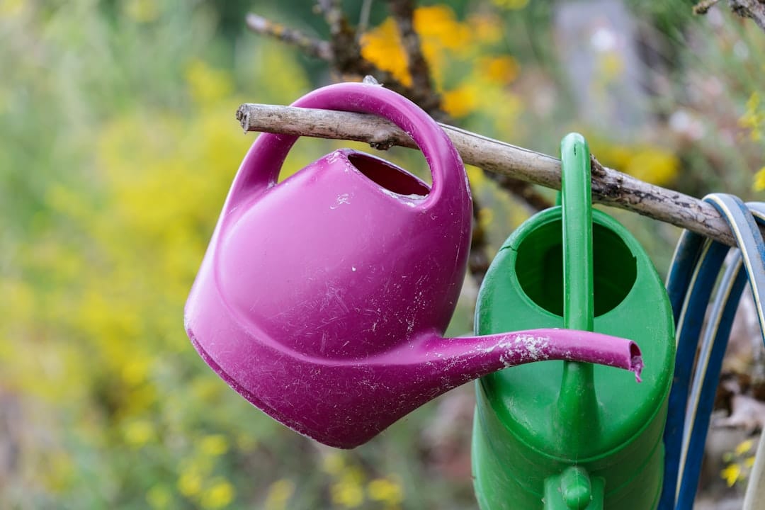 découvrez notre sélection d'outils de jardinage essentiels pour amateurs et professionnels. du sécateur aux gants de jardin, trouvez l'équipement parfait pour entretenir votre jardin et bénéficier d'un espace extérieur épanouissant.