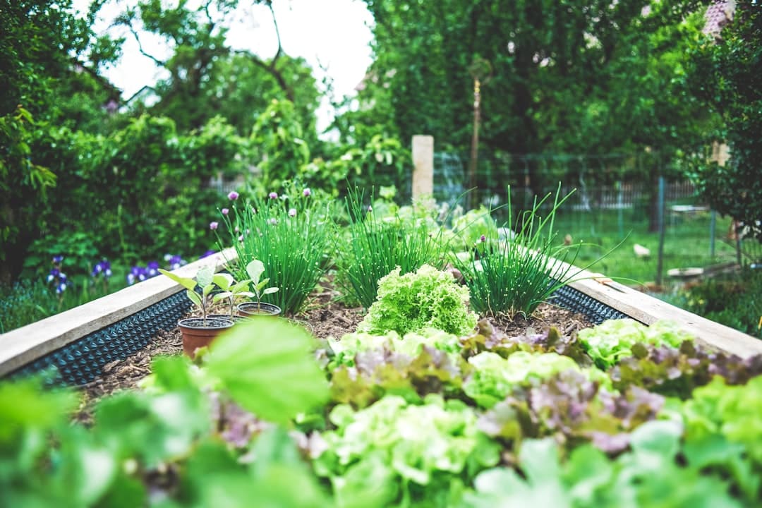 découvrez notre élégante table de jardin en métal, alliant style et durabilité. idéale pour vos repas en plein air ou pour profiter du soleil, cette table robuste apportera une touche moderne à votre espace extérieur.