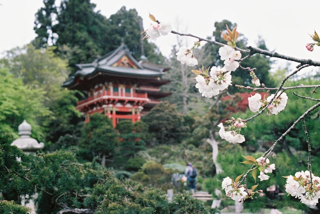 découvrez l'univers apaisant des jardins de thé, où la sérénité rencontre la nature. explorez les variétés de thé, apprenez sur les traditions de la culture du thé et savourez des moments de détente au cœur de ce paysage enchanteur.