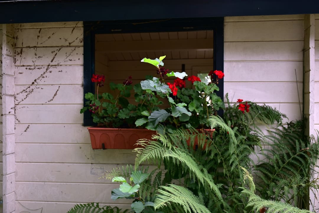 découvrez l'art de la taille : apprenez les techniques essentielles pour entretenir vos plantes, favoriser leur croissance et embellir votre jardin. guides pratiques et conseils d'experts pour réussir vos travaux de jardinage.