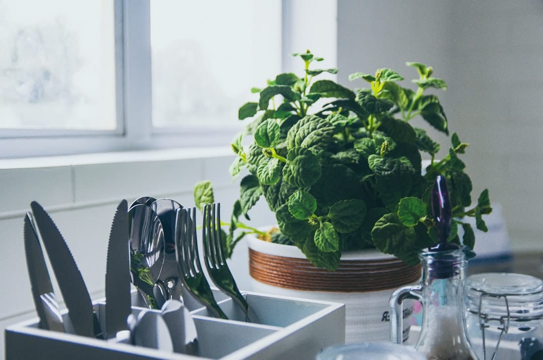 découvrez l'univers du mint, une plante aromatique aux multiples vertus. que ce soit en cuisine, pour vos infusions ou en aromathérapie, le mint apporte fraîcheur et saveur à vos plats. apprenez comment cultiver, utiliser et bénéficier des bienfaits du mint dans votre quotidien.